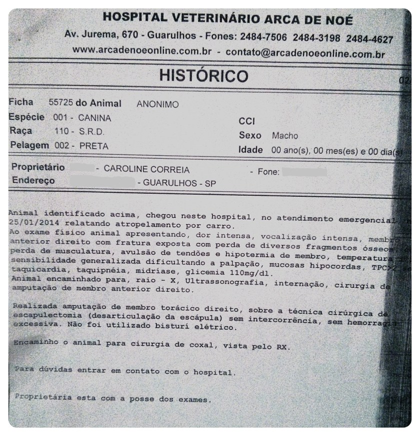 historico-veterinario-canino