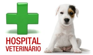 hospital-veterinario2